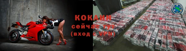каннабис Богданович
