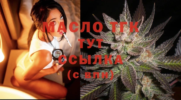 тгк Богородицк