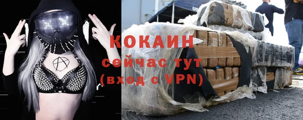 тгк Богородицк