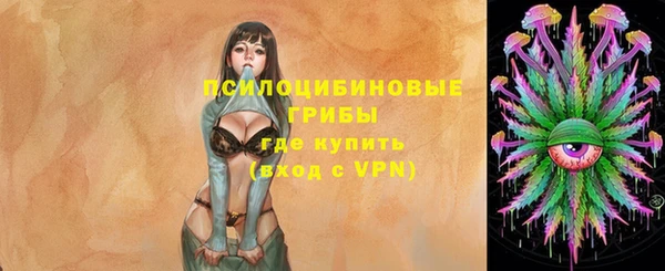тгк Богородицк